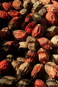 Betel Nut (size: 4 ounces)